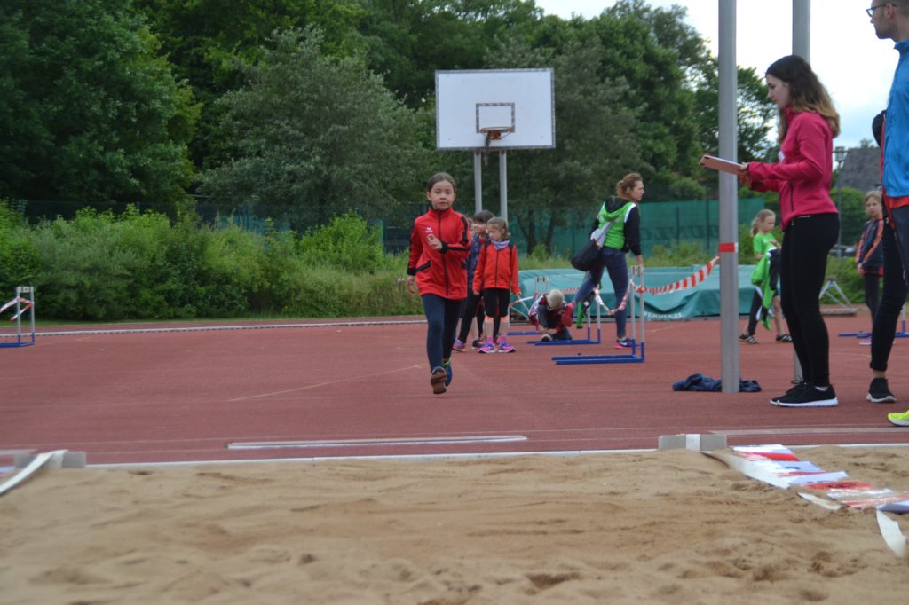 photo43.jpg