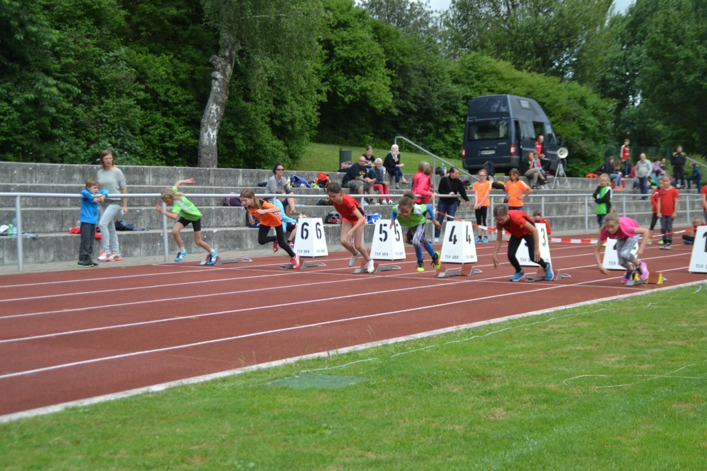 photo47.jpg