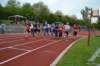 photo338_small.jpg