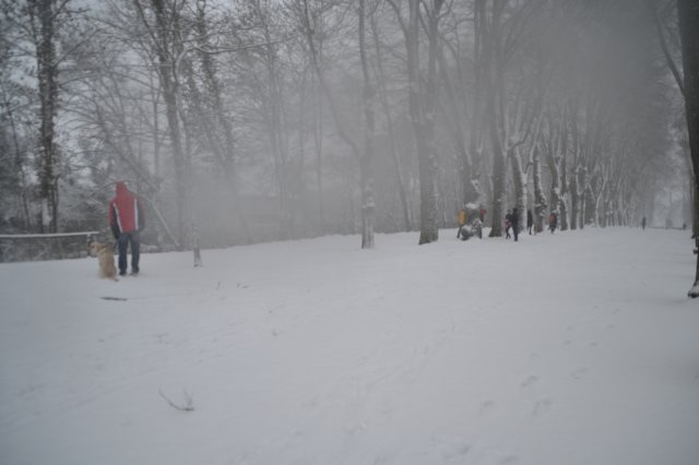 photo27.jpg