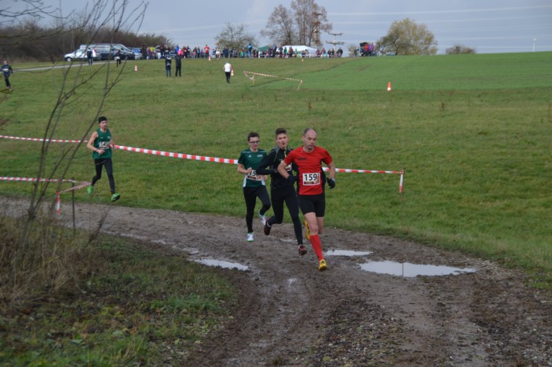photo31.jpg