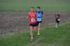 photo336_small.jpg