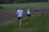 photo340_small.jpg