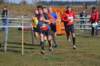 photo104_small.jpg