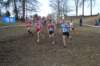 photo117_small.jpg