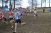 photo118_small.jpg