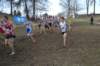 photo119_small.jpg