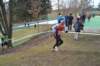 photo104_small.jpg
