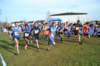 photo1227_small.jpg