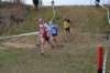 photo187_small.jpg