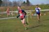 photo852_small.jpg