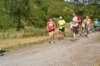 photo75_small.jpg