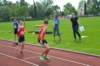 photo481_small.jpg