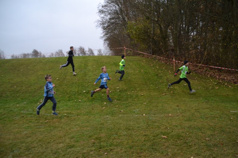 photo63.jpg
