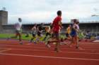 photo456_small.jpg