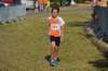 photo446_small.jpg